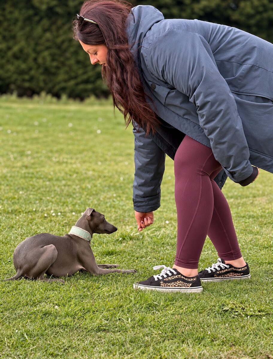 India bending down to reward an Italian greyhound puppy lying on the grass during a training session